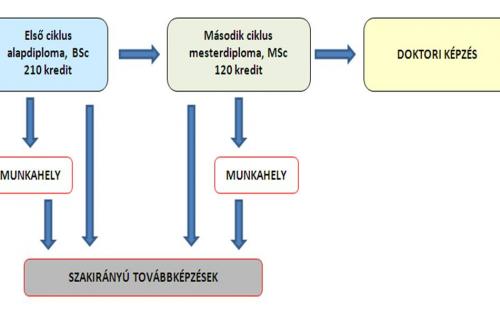 Képzési rendszer